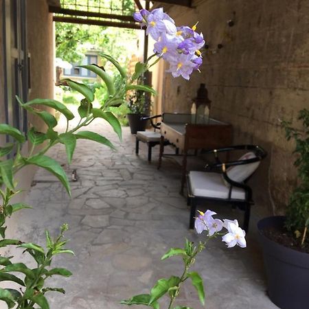 Un Jardin En Ville 萨尔拉拉卡内达 外观 照片